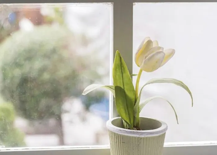 Inlapa Ii Terrace Porto