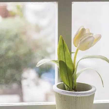 Inlapa Ii Terrace Porto